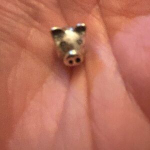 Pandora pig charm